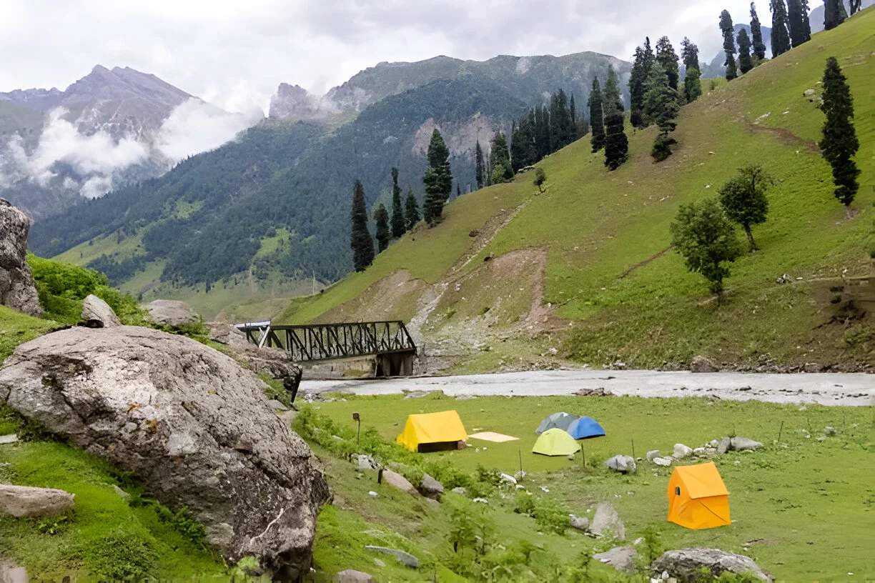 camping in sonamarg